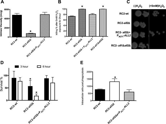 FIG 2