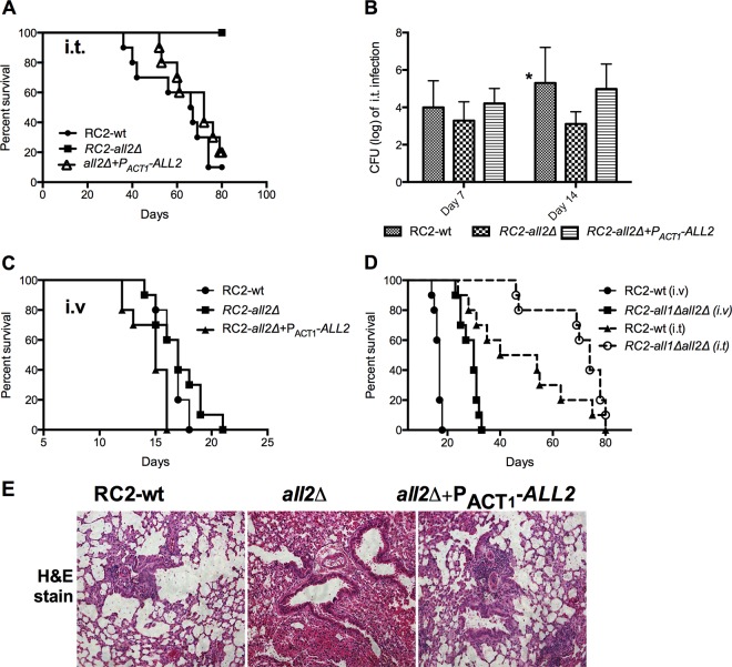 FIG 3