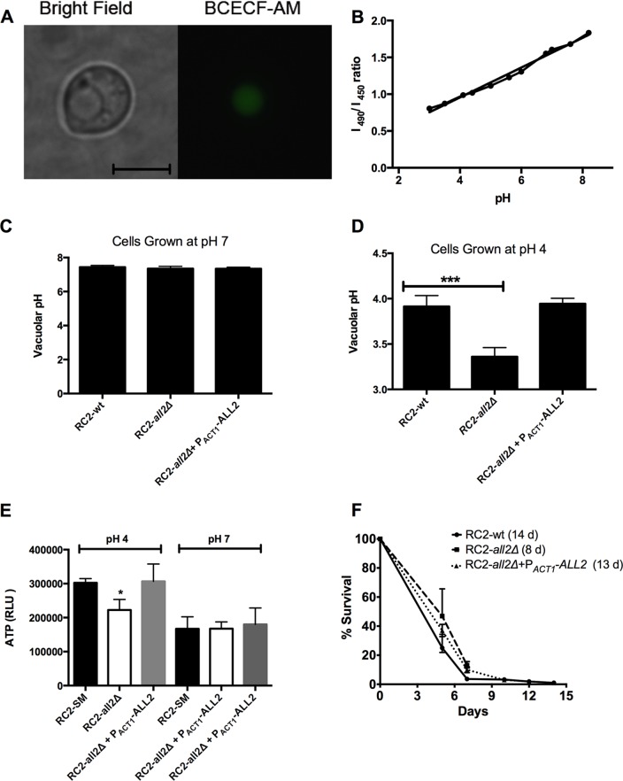 FIG 6