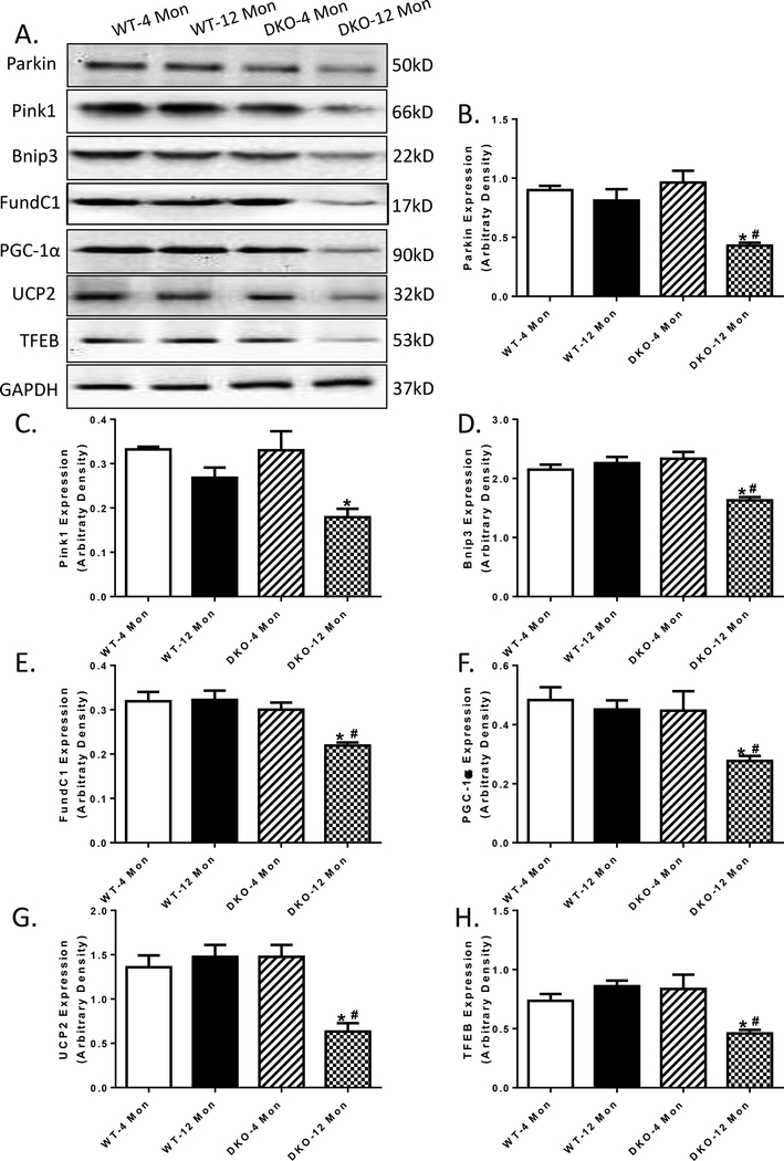 Fig. 7: