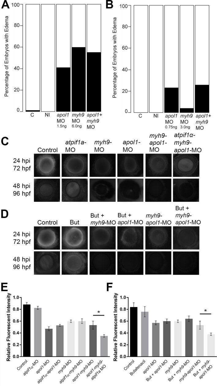 Fig 5