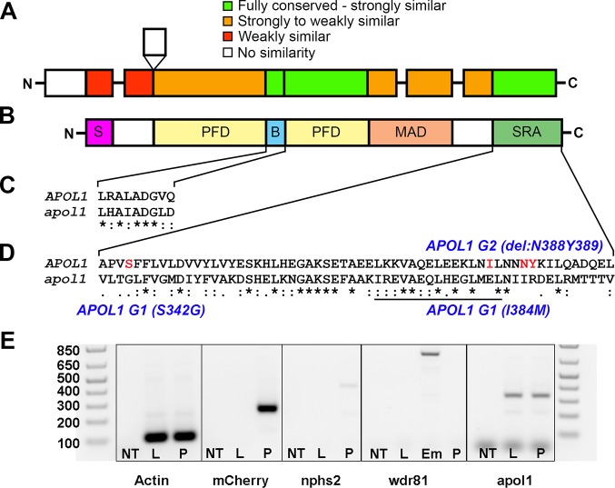 Fig 1