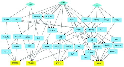 Figure 3. 