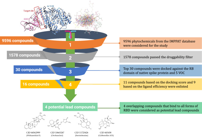 graphic file with name 11030_2022_10580_Figa_HTML.jpg