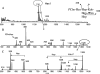 FIG. 11.