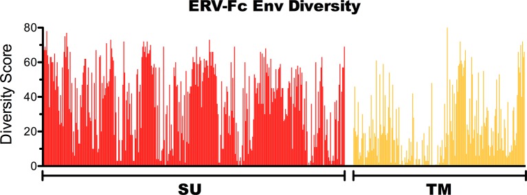 Figure 3—figure supplement 2.