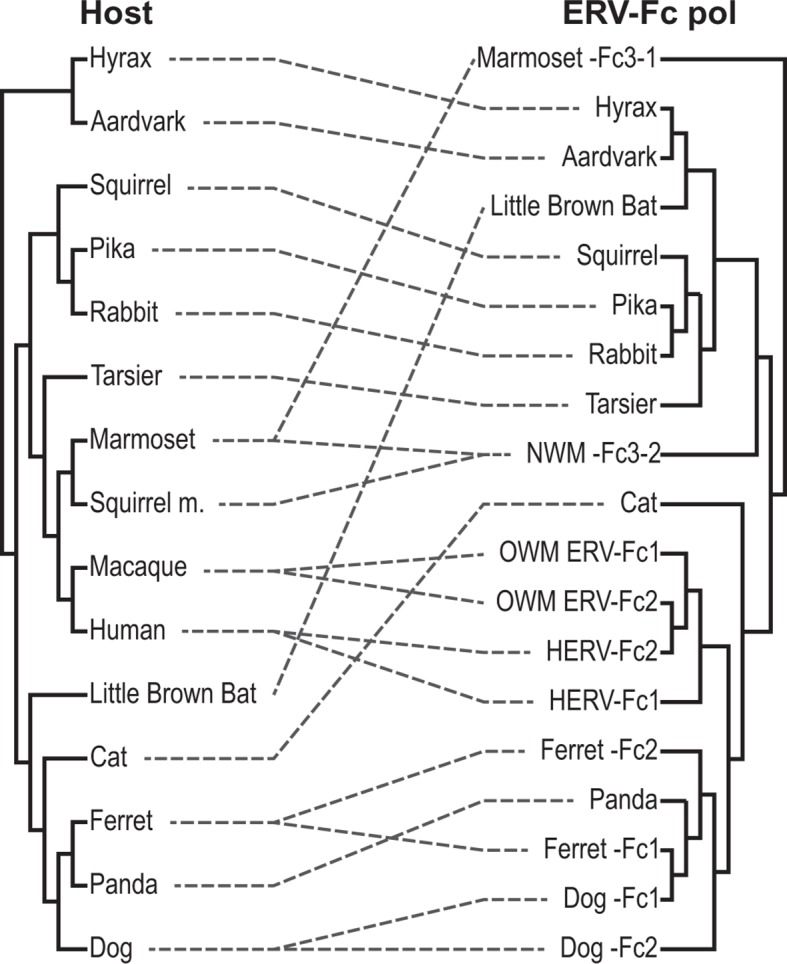 Figure 5—figure supplement 1.