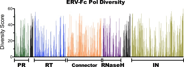 Figure 3—figure supplement 1.