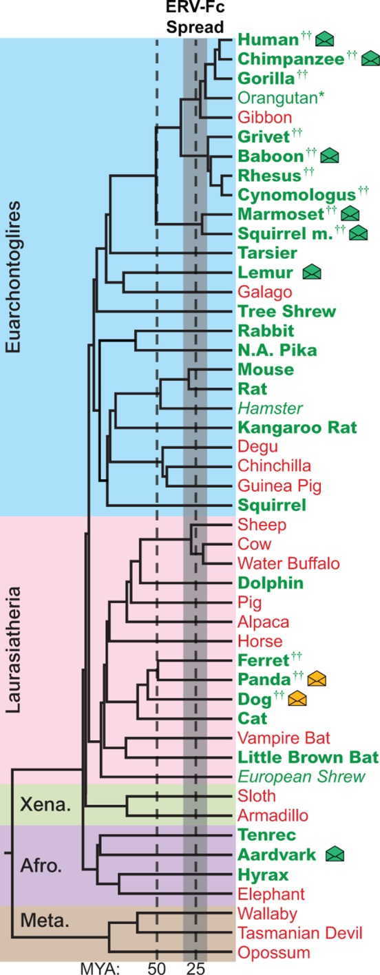 Figure 2.