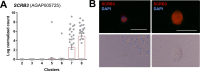 Figure 3—figure supplement 2.