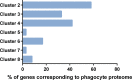 Figure 2—figure supplement 1.