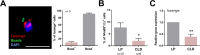 Figure 5—figure supplement 1.