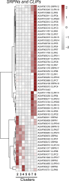 Figure 2—figure supplement 5.