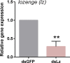 Figure 5—figure supplement 2.