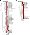 Figure 3—figure supplement 4.