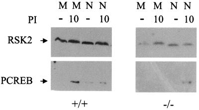 FIG. 7.