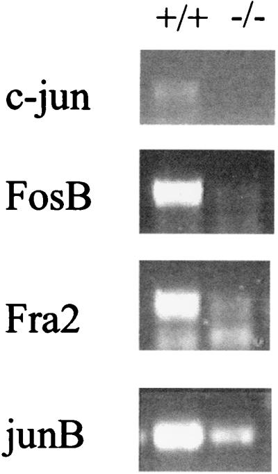 FIG. 5.