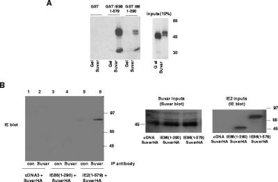 FIG. 7.