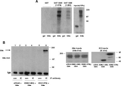 FIG. 5.