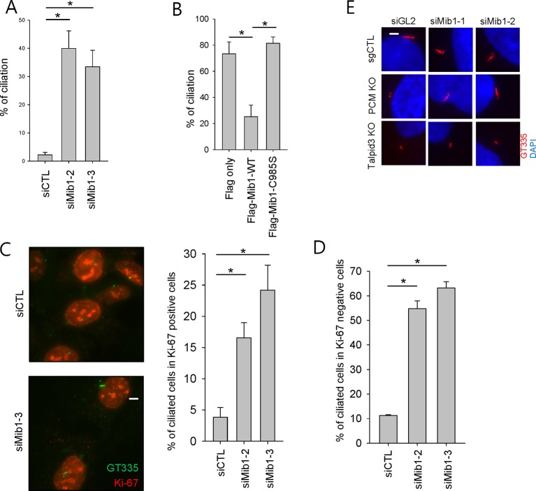 Figure 5—figure supplement 1.