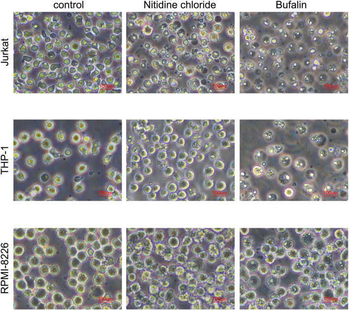 Fig. 3