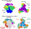 Fig. 1