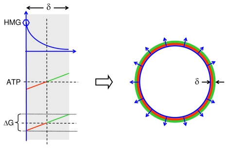 FIGURE 3A