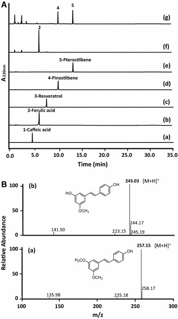 Fig. 2