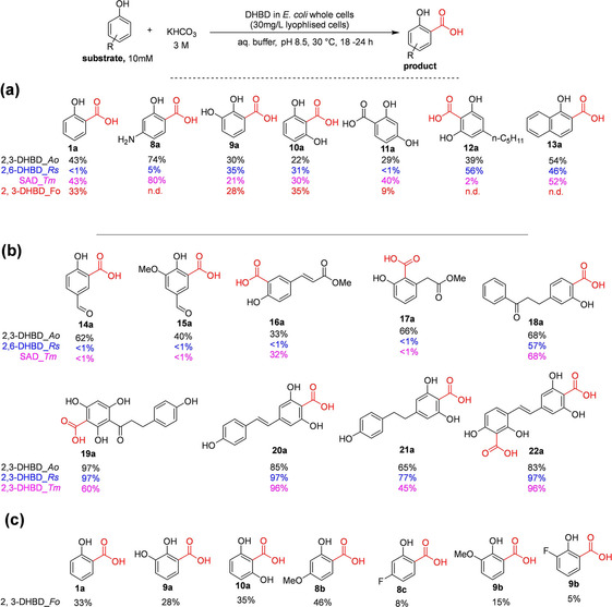 Scheme 3