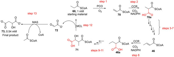 Scheme 14