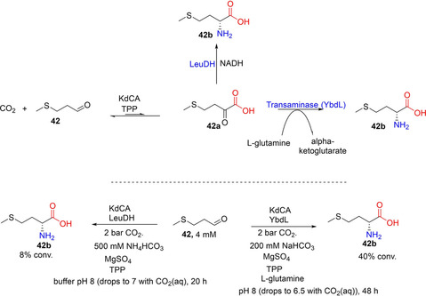 Scheme 12