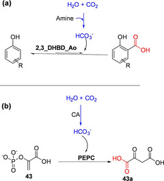 Scheme 9