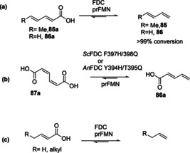 Scheme 17