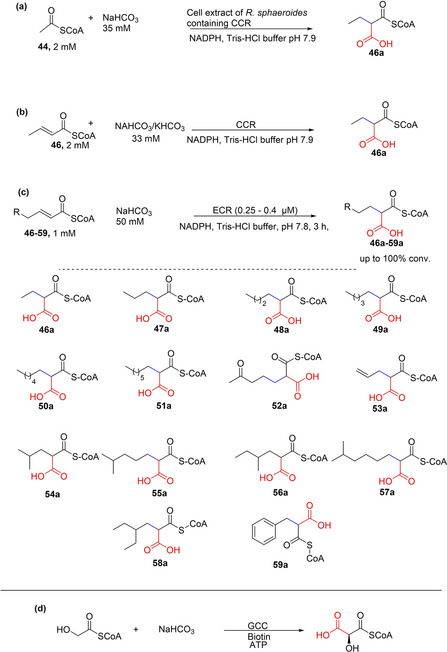 Scheme 8