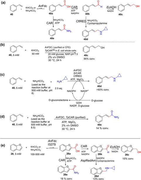 Scheme 13