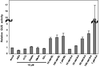 Figure 4.