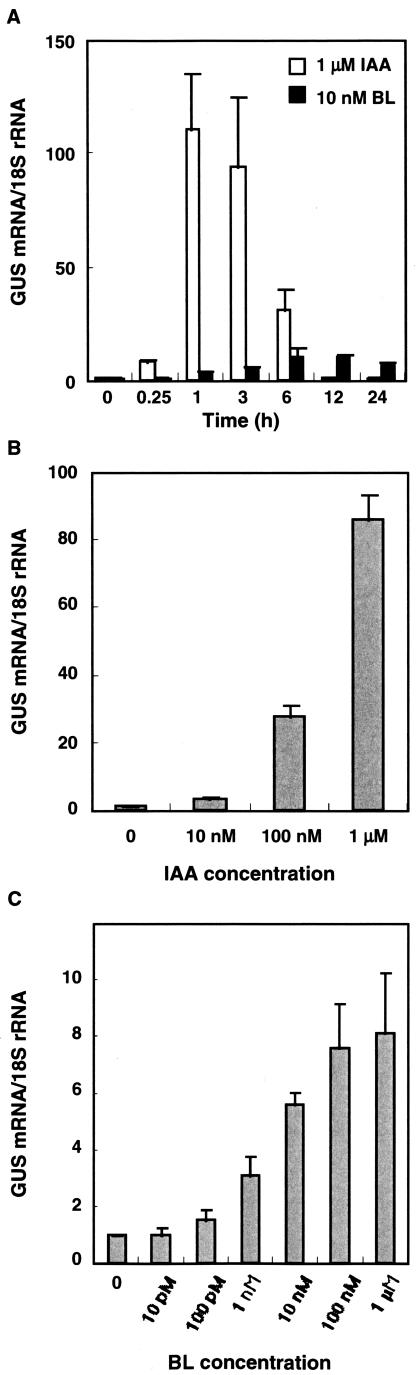 Figure 3.