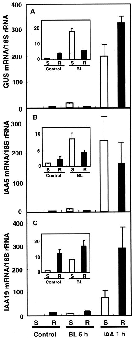 Figure 6.