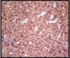 [Table/Fig-8]: