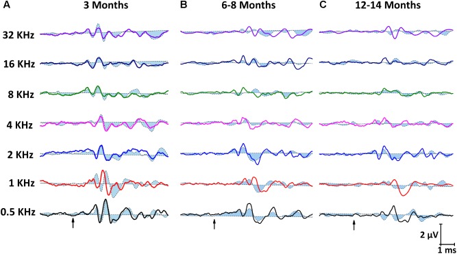 FIGURE 3