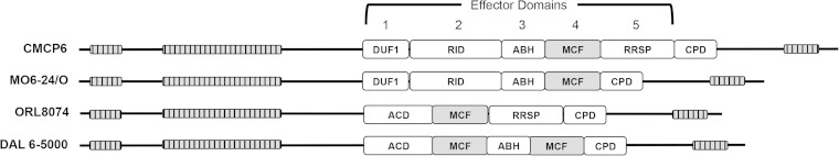 FIG 1