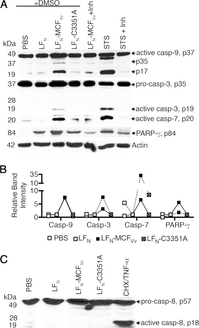 FIG 4