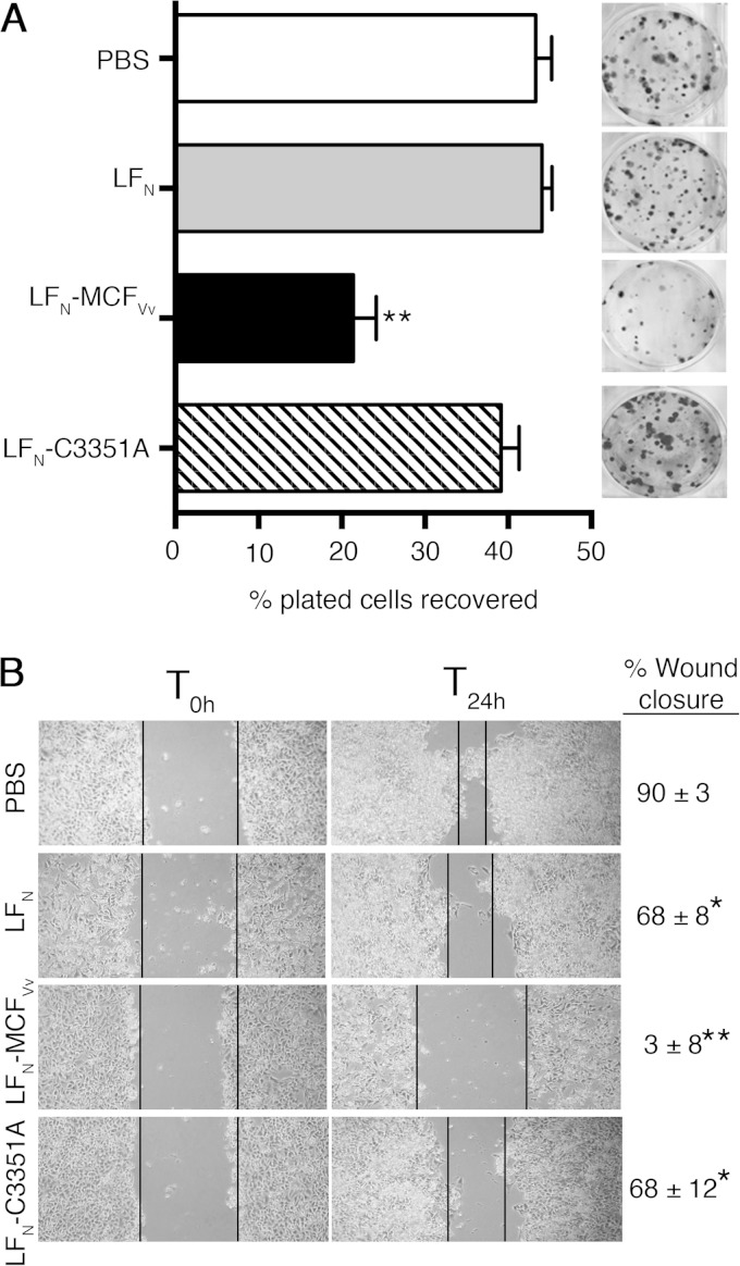 FIG 3