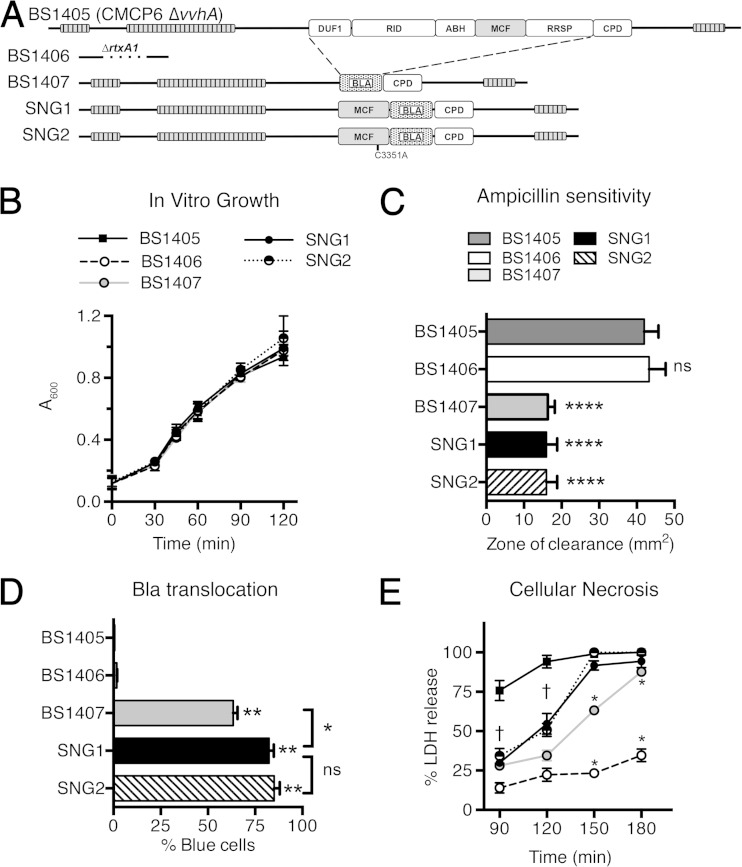 FIG 6