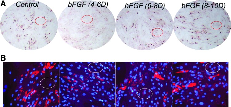 FIG. 9.