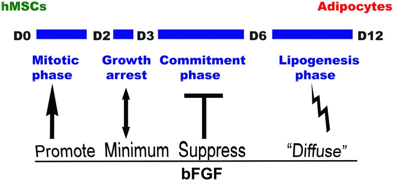 FIG. 12.