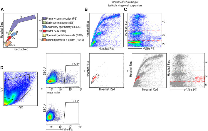 FIGURE 3