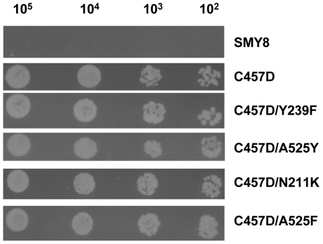 Figure 2