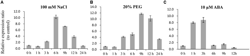 FIGURE 2