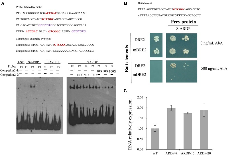 FIGURE 10